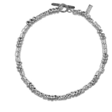 Dodo Particelle e pigne small