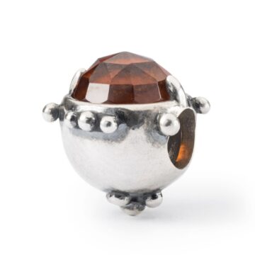 Dono dell’amicizia