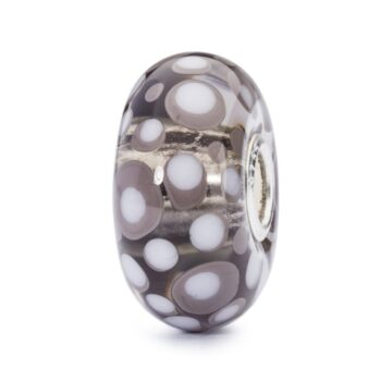 Conchiglia tropicale