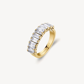 Anello Acciaio Desideri - BEIA002