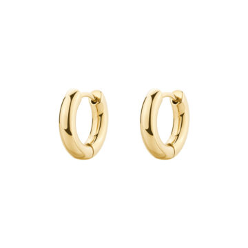 Orecchini Acciaio Perfect - BPC43