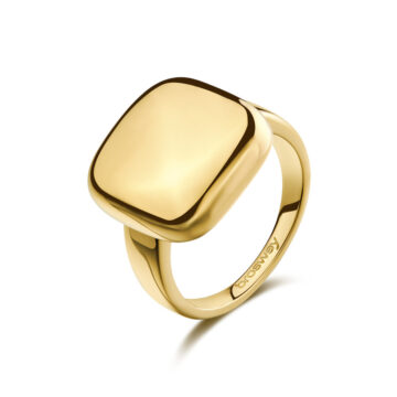 Anello Acciaio Muse - BUE32