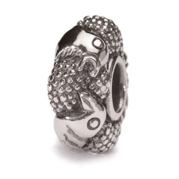 Uccelli del paradiso Museo