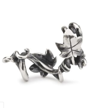 Abbraccio della natura