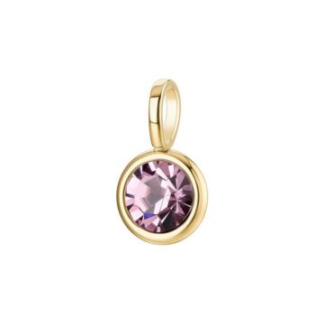 Charm Acciaio Essential - BNL161